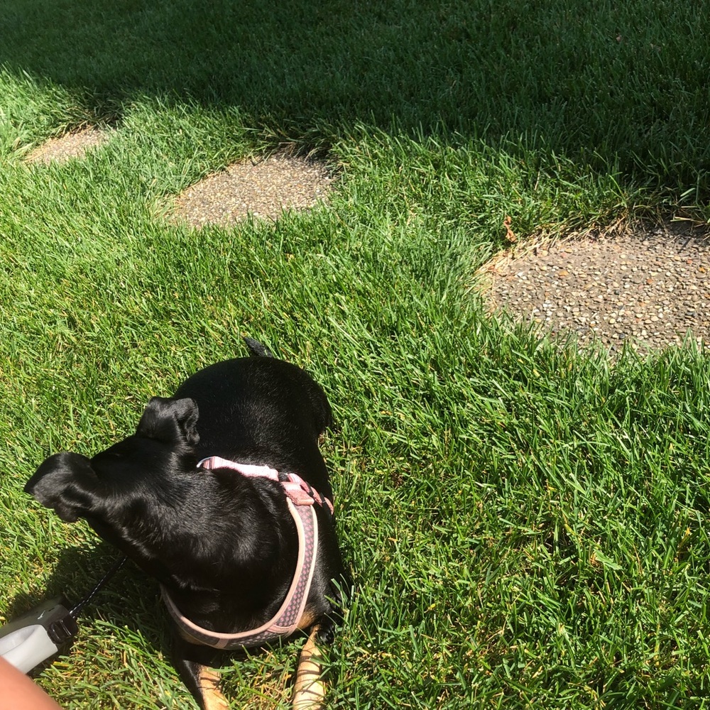 Meet your Posher, Alicja